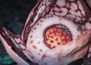 Bunga Langka Rafflesia Hasseltii Mekar di Sumbar, Tim Oxford Lakukan Ekspedisi Khusus