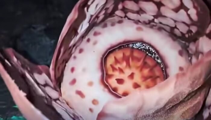 Bunga Langka Rafflesia Hasseltii Mekar di Sumbar, Tim Oxford Lakukan Ekspedisi Khusus