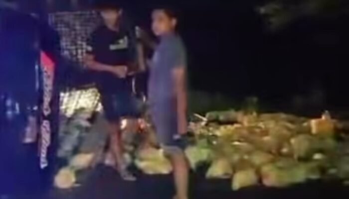 Kecelakaan di Jalan Raya Tirem, Mobil Pick Up Pengangkut Ayam Terguling