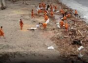 Pemkot Padang Tangani 3.327 Ton Sampah Pascabanjir, Dominan Kayu Gelondongan