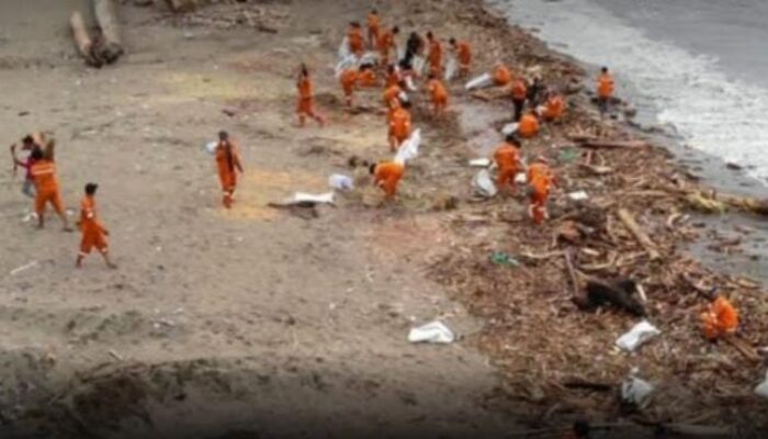 Pemkot Padang Tangani 3.327 Ton Sampah Pascabanjir, Dominan Kayu Gelondongan