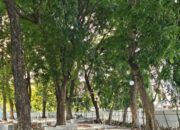 Pemkab Karawang Bangun Taman RTH Ade Irma Suryani, Anggaran Capai Rp397 Juta