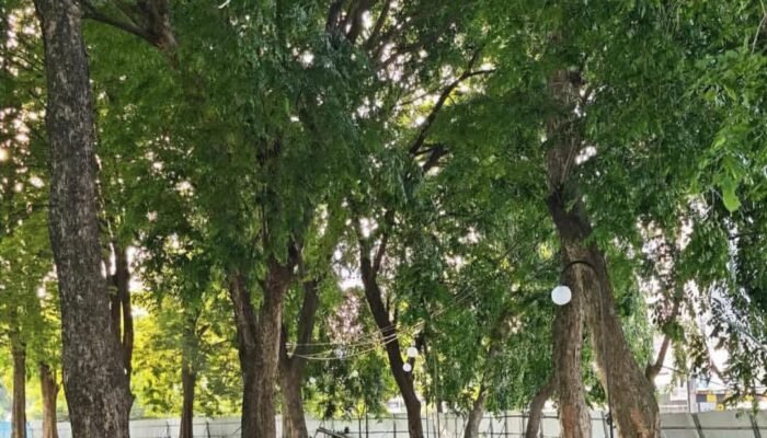 Pemkab Karawang Bangun Taman RTH Ade Irma Suryani, Anggaran Capai Rp397 Juta