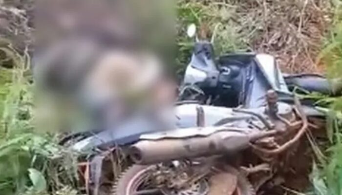 Petani Merica Tewas Dililit Piton di Luwu Timur, Ini Kronologinya