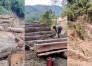 Viral Dugaan Pembalakan Liar di Pesisir Barat, Polda Lampung Segel Lokasi