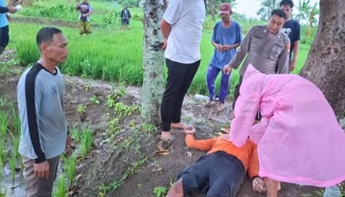 Disambar Petir Saat Berteduh, Petani di Gresik Meninggal Dunia