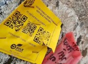 Bukan Kayu Banjir, Ini Penjelasan Kemenhut Terkait Gelondongan Kayu di Pesisir Barat