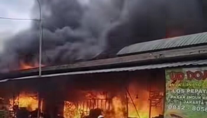 Pasar Induk Kramat Jati Terbakar, Api Diduga Berasal dari Los Pepaya