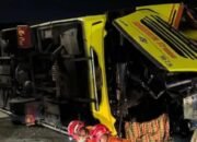 Bus PO Cahaya Trans Hilang Kendali, 15 Penumpang Meninggal