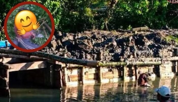 Enam Pencuri Kayu Tambak Diamuk Massa di Sidoarjo, 2 Orang Kritis