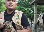 Selamatkan Kucing, Sekretaris Kecamatan Cikarang Timur Tinjau Banjir di Kampung Nanggewer