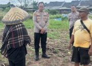 Dukung Ketahanan Pangan, Polsek Kotabaru Siapkan Penanaman Jagung Hibrida