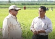 Indonesia Siap Ekspor Beras ke Malaysia hingga Papua Nugini pada 2026