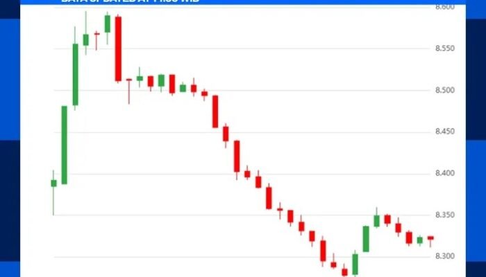 IHSG Anjlok Lebih dari 8%, BEI Lakukan Trading Halt