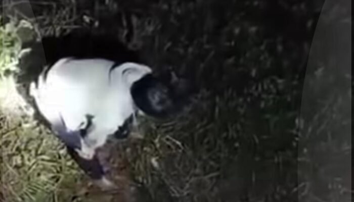 Warga Jumpai Pria yang Diduga akan Lakukan Aksi Maling Motor di Mulyasari