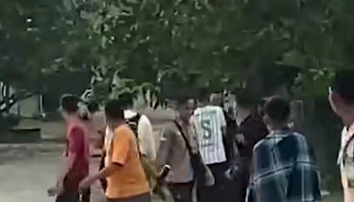 Anak Gajah Terperosok ke Septic Tank, Kawanan Gajah Mengamuk Rusak Mess Karyawan