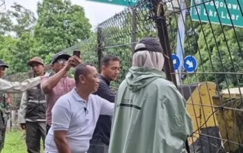 Viral Dugaan Aktivitas Asusila, Pemkot Jaktim Tertibkan Hutan Kota Cawang