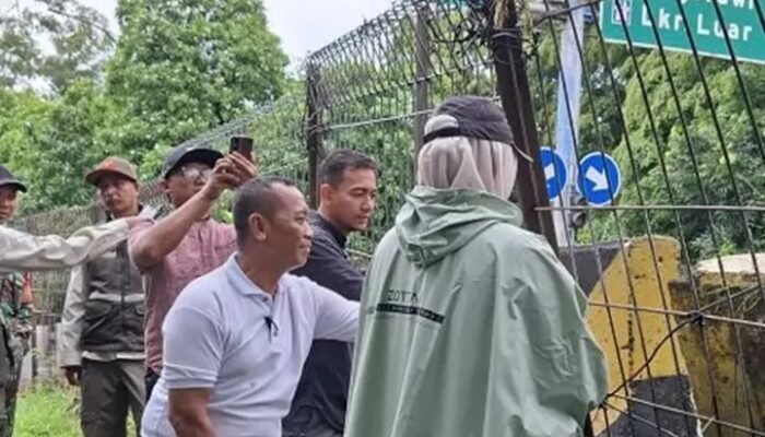 Viral Dugaan Aktivitas Asusila, Pemkot Jaktim Tertibkan Hutan Kota Cawang