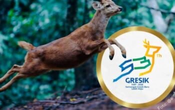 Kreatif! Rusa Bawean jadi Inspirasi Ikon Logo HUT ke-539 Gresik