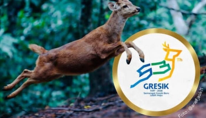 Kreatif! Rusa Bawean jadi Inspirasi Ikon Logo HUT ke-539 Gresik