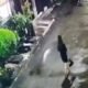 Takut Dimarahi Orang Tua, Ibu Muda di Bekasi Buang Bayinya