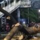 Hujan Deras dan Angin Kencang, Pengendara Motor Tewas Tertimpa Pohon Tumbang di Jagakarsa