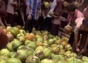 Viral! Siswa SMA di Gresik Ambil Kelapa Utuh untuk Menu MBG