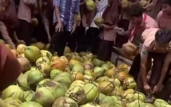 Viral! Siswa SMA di Gresik Ambil Kelapa Utuh untuk Menu MBG