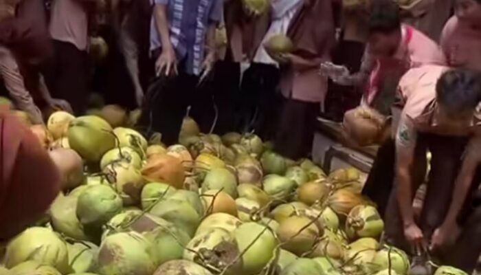 Viral! Siswa SMA di Gresik Ambil Kelapa Utuh untuk Menu MBG