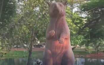 Patung Magawa Diresmikan, Simbol Penghormatan bagi Tikus Pendeteksi Ranjau