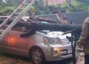 Cuaca Ekstrem, Pohon Tumbang Timpa 4 Mobil di Jalan Badak Singa Bandung