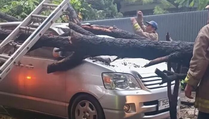 Cuaca Ekstrem, Pohon Tumbang Timpa 4 Mobil di Jalan Badak Singa Bandung