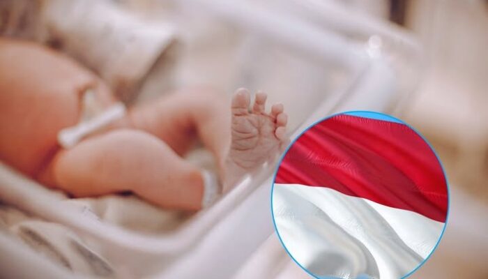 Bayi Baru Lahir Otomatis Jadi Peserta BPJS Kesehatan Mulai April 2026