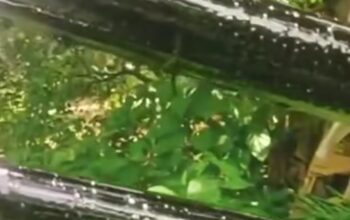 Geger! Sumur Bor di Buton Utara Keluarkan Cairan Mirip Aspal