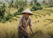 Indonesia Stop Impor 7 Komoditas Pangan, Swasembada Dipercepat