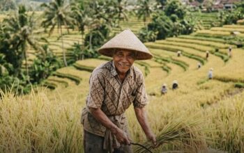 Indonesia Stop Impor 7 Komoditas Pangan, Swasembada Dipercepat