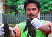 Pemprov DKI Tangkap 7 Ton Ikan Sapu-sapu dalam Operasi Serentak