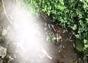 Geger! Jasad Misterius Ditemukan di Jembatan Kembar Cangar Kota Batu