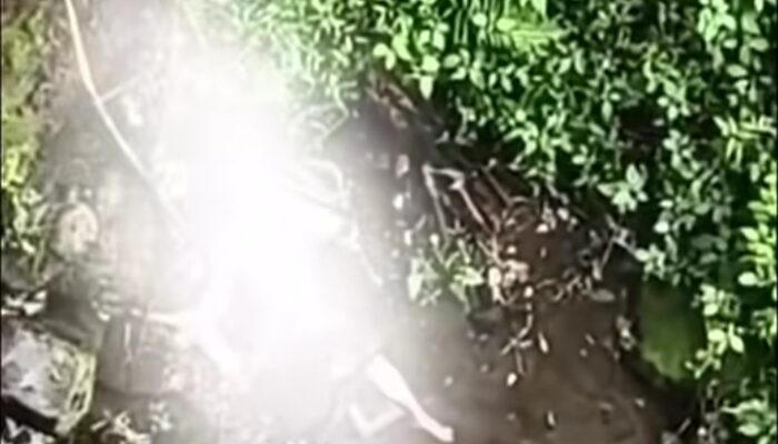 Geger! Jasad Misterius Ditemukan di Jembatan Kembar Cangar Kota Batu