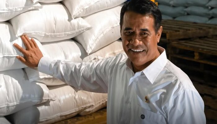 Stok Beras RI Tembus Rekor 5 Juta Ton, Mentan: Tak Perlu Impor