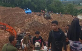 Tambang Emas Ilegal di Sijunjung Longsor, 9 Penambang Tewas Tertimbun