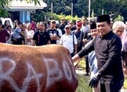 Masyarakat Plawad Dikawal Ketua DPRD Karawang dalam Proses Penyembelihan Hewan Kurban dari Presiden
