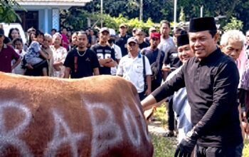 Masyarakat Plawad Dikawal Ketua DPRD Karawang dalam Proses Penyembelihan Hewan Kurban dari Presiden