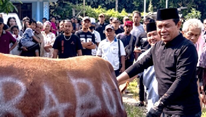Masyarakat Plawad Dikawal Ketua DPRD Karawang dalam Proses Penyembelihan Hewan Kurban dari Presiden