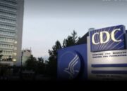 CDC Tetapkan Wabah Hantavirus sebagai Darurat Level 3