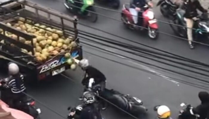 Nekat! Pengendara Motor Terjatuh Usai Coba Curi Kelapa dari Bak Pick Up Berjalan