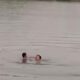Viral! Seorang Anak Tenggelam di Waduk Dayung Bojongsari Indramayu