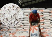 Hama Gudang Ganggu Permukiman Warga di Karawang, Bulog Sampaikan Permintaan Maaf