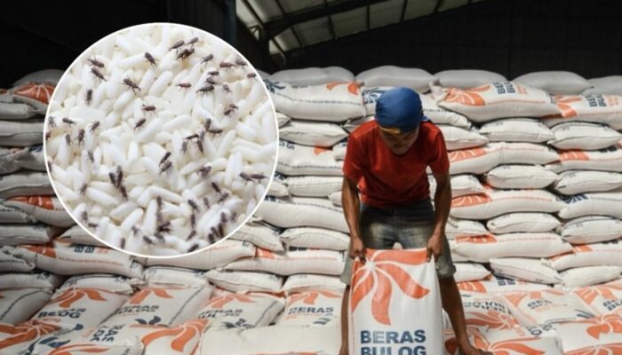 Hama Gudang Ganggu Permukiman Warga di Karawang, Bulog Sampaikan Permintaan Maaf