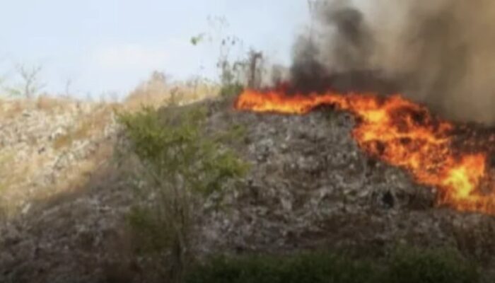 Diduga Karena Puntung Rokok, Lahan TPA Pakusari Jember Hangus Terbakar